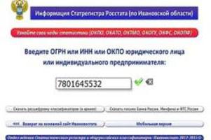 Czy ip ogrn i okpo