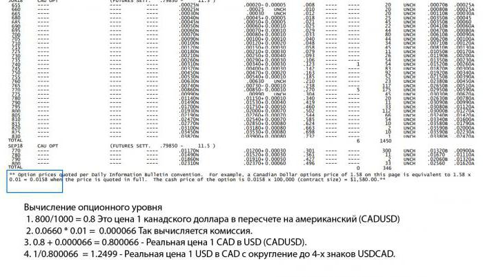 poziomy opcji budowania