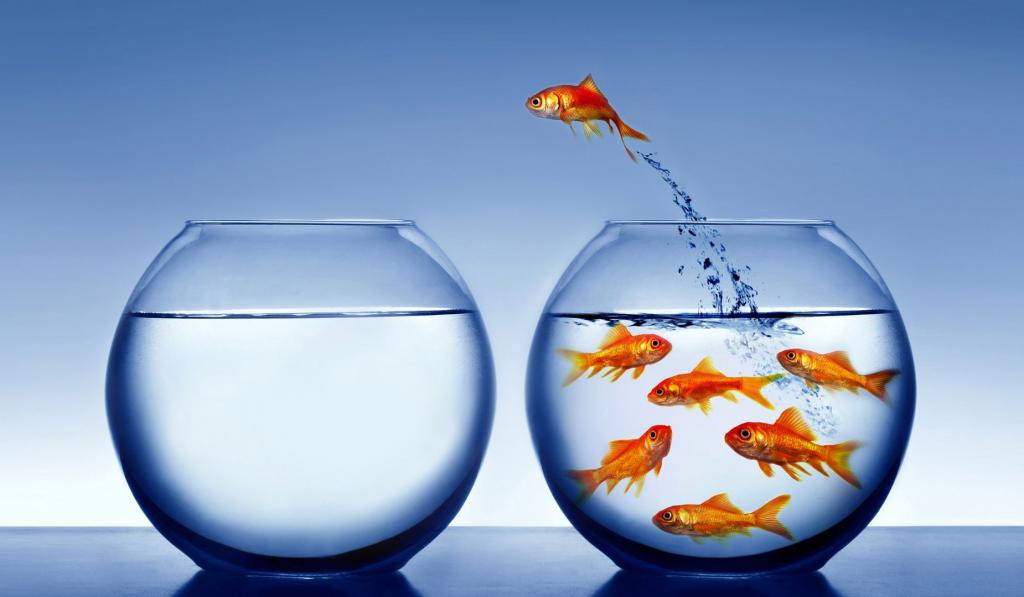 Business Scaling Academy: recenzje