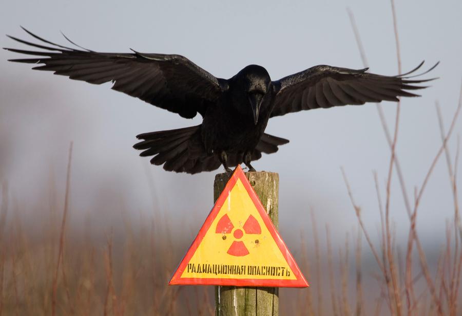 Straling waarschuwingsbord