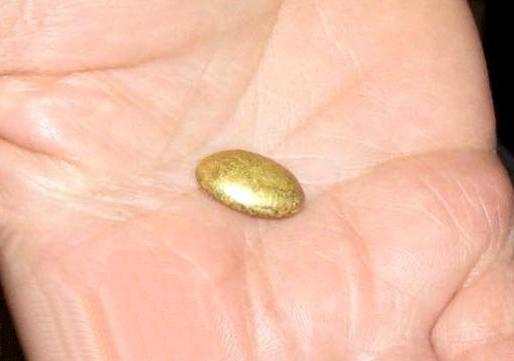 is het mogelijk om goud te delven