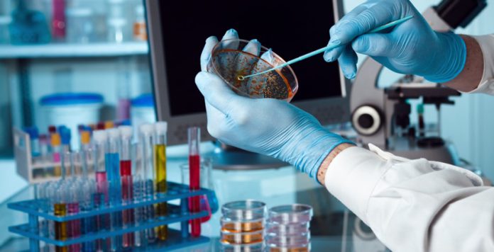 Werk in het laboratorium