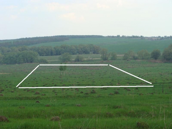  hoe land van de staat te krijgen