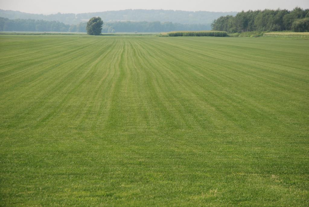 Działka