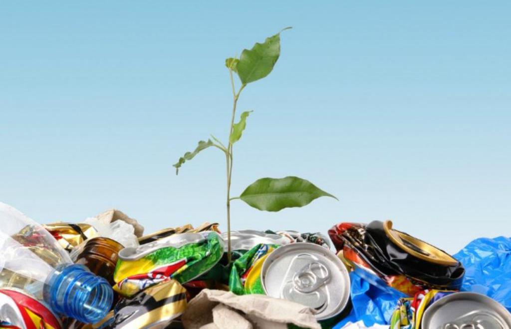 Ecologische impact van afval