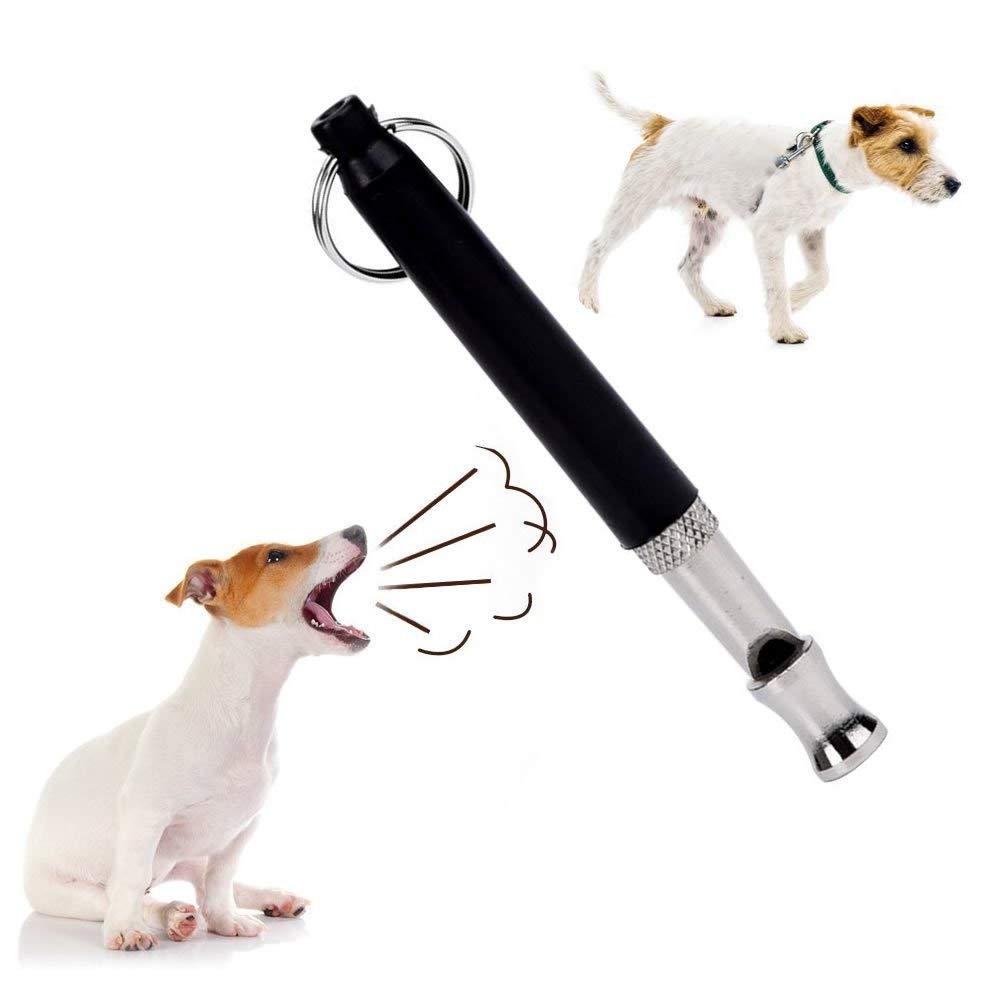 Scare scroll