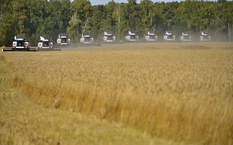 Landbouw van de regio Chelyabinsk